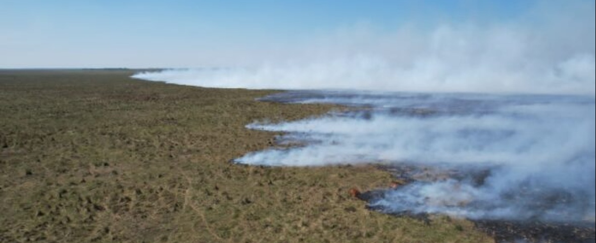 Mediante herramientas de Google Earth Engine analizaron la severidad de los incendios en Iberá