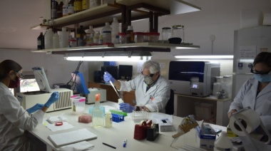 El programa Raíces logró repatriar a 79 científicos en menos de un año