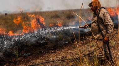 Incendios en Corrientes: evaluarán los efectos a mediano plazo sobre la biodiversidad