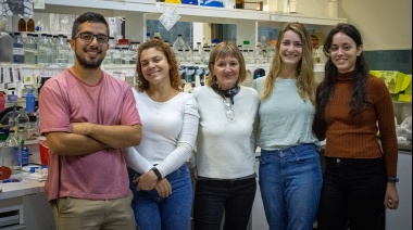 Realizan un nuevo descubrimiento sobre la regeneración de neuronas