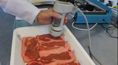 UCASAL cuenta con el único laboratorio universitario del país que analiza la calidad de la carne
