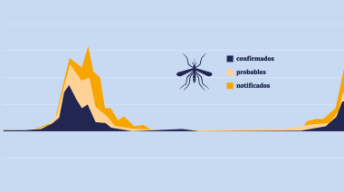 Monitoreo del dengue a través de un tablero dinámico