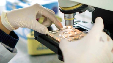 Invertir en Ciencia es apostar al futuro