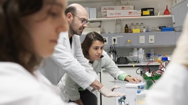 Especialistas del CONICET identifican una molécula que regula la respuesta al estrés