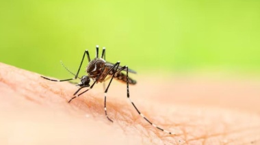 Nanotecnología para la comunidad: el innovador repelente de la UNAHUR