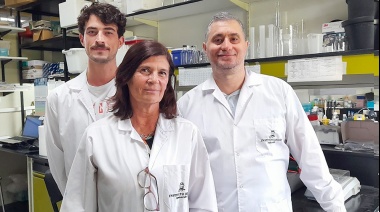 Especialistas del CONICET comprueban el papel central de la neuroinflamación en la progresión del Alzheimer