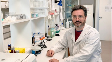 Identifican nuevo rol clave de una proteína en la eficiencia de la respuesta inmune