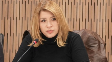Mónica Litza advirtió en el Congreso sobre el impacto del ajuste en ciencia y universidades