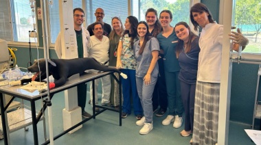 La USAL consolida un nuevo paradigma en la formación veterinaria