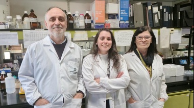 Alzheimer y mitocondrias: un nuevo hallazgo argentino aporta pistas sobre el daño cerebral temprano