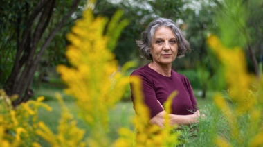 Las raíces y las semillas: un vínculo subterráneo que moldea la biodiversidad mundial