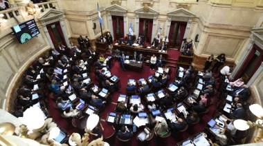 El Senado se prepara para desactivar el veto al financiamiento universitario y a la emergencia pediátrica
