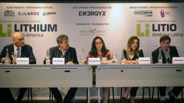 El litio como elemento clave en el sendero hacia la transición energética de Argentina