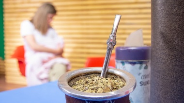 Confirman que es seguro consumir yerba mate durante la lactancia materna