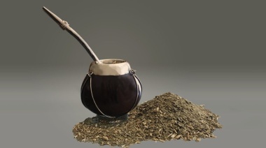 Especialistas del CONICET descifraron el genoma de la yerba mate