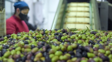 Apoyo de la UNCUYO a siete pymes mendocinas para llevar vino y aceite de oliva al mundo
