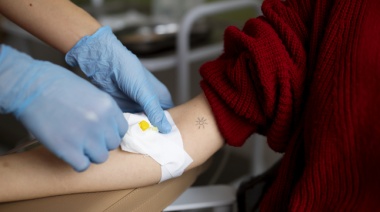 Análisis de sangre: estudios esenciales y cómo interpretar sus resultados