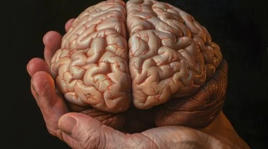 Los factores ambientales y sociales influyen en el envejecimiento del cerebro