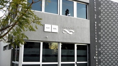 La UNL e INTA analizan un probiótico que mejora la producción porcina