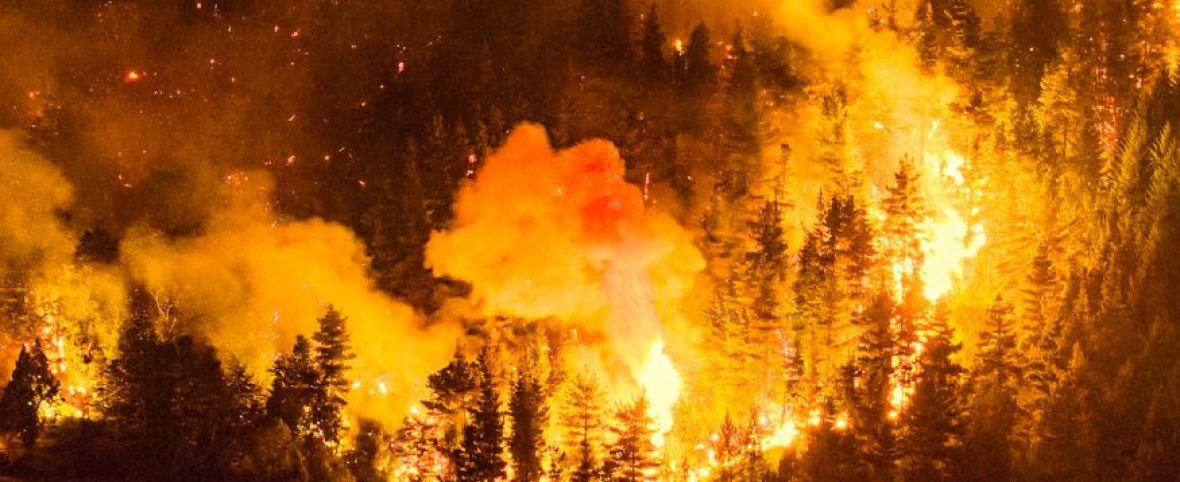 Incendios forestales: los factores que agravan su propagación y los desafíos para su prevención