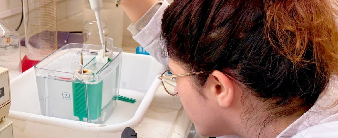 Científicos de la UBA trabajan para detectar y detener la metástasis