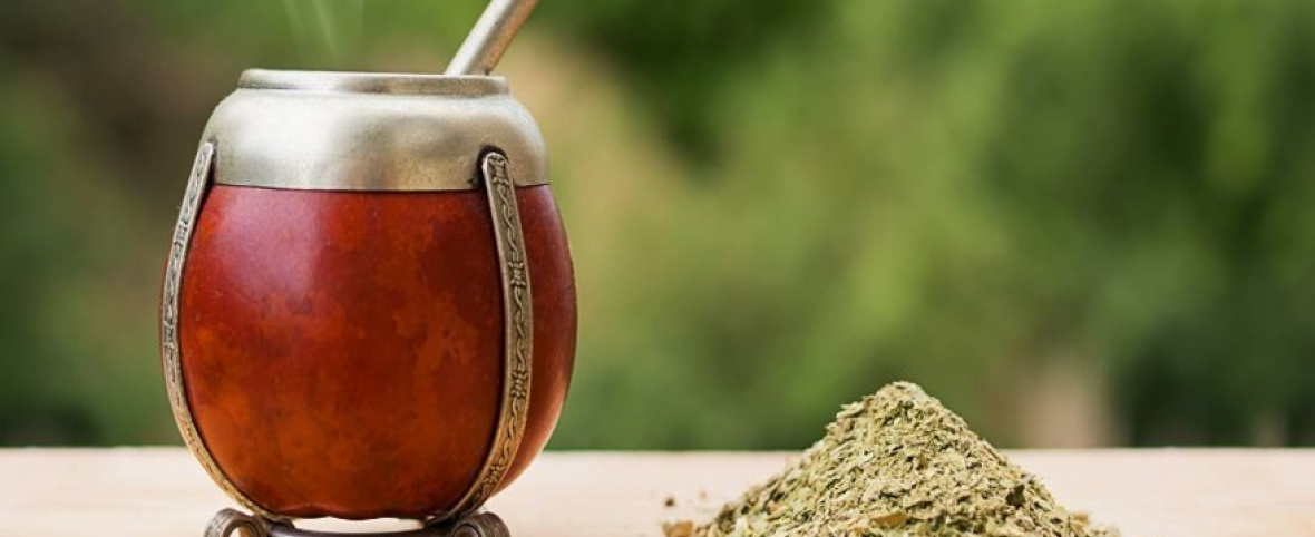 Un estudio de la UBA investiga cómo el mate podría retrasar la aparición del Parkinson