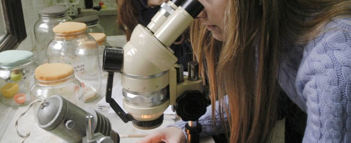 De los laboratorios de la UBA a la vida cotidiana