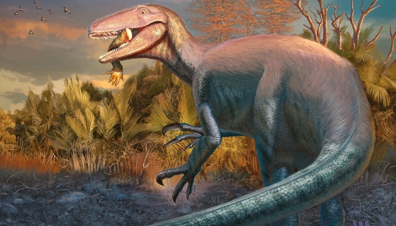 Científicos del CONICET descubren un dinosaurio carnívoro que habría sido de los últimos en extinguirse