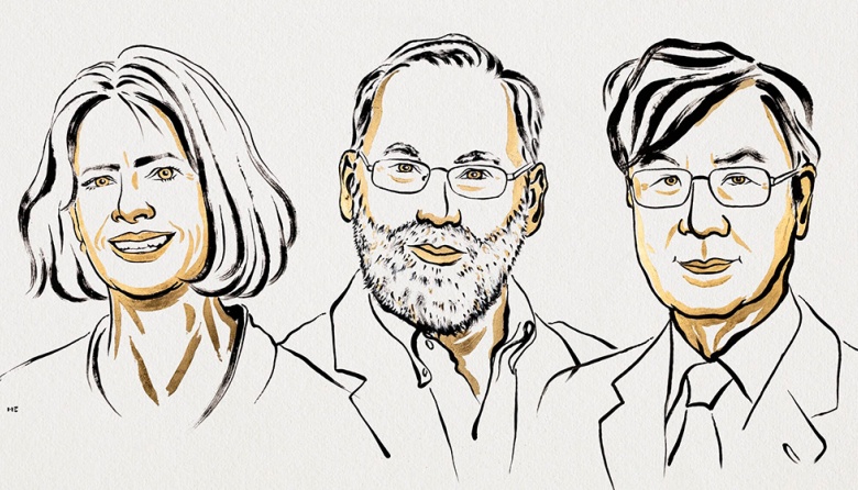 El Premio Nobel de Medicina fue para descubrimientos innovadores sobre la tolerancia inmunológica periférica