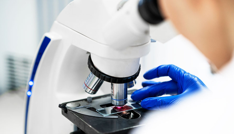 Institutos del CONICET recibieron el Premio Fundación Williams a la Excelencia Científica 2025