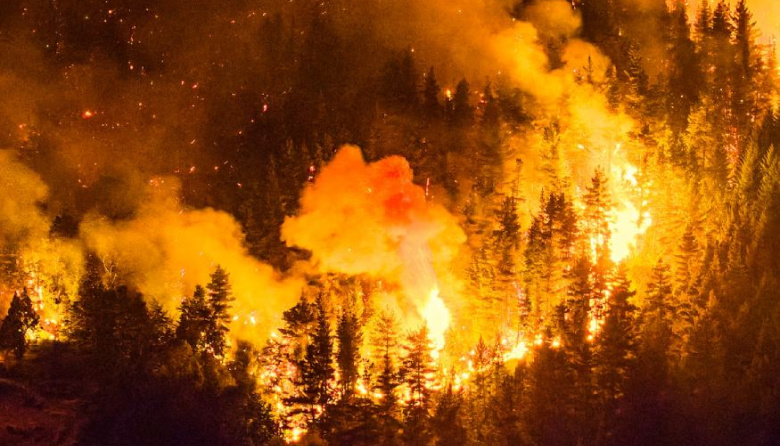 Incendios forestales: los factores que agravan su propagación y los desafíos para su prevención