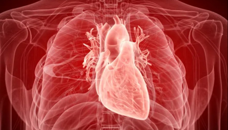 Destacan investigación de profesor honorario de la UNDAV en el prestigioso sitio de divulgación Live Science