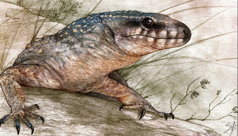 Científicos del CONICET hallan en la Patagonia argentina un nuevo reptil de 70 millones de años