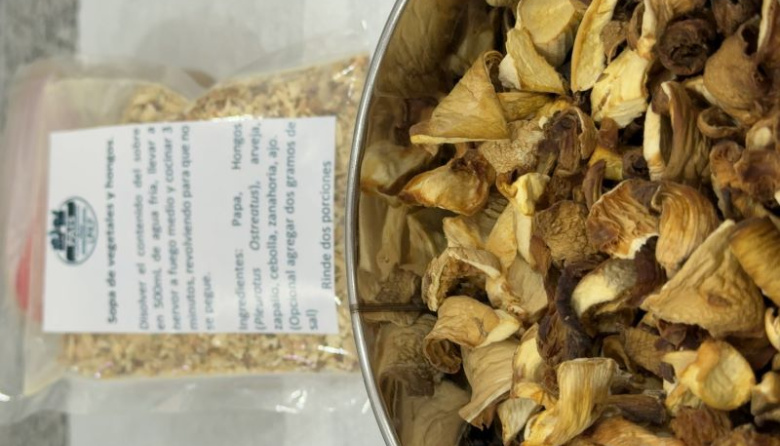 Ciencia que alimenta: la UNLP lanzó una sopa crema de hongos para comedores