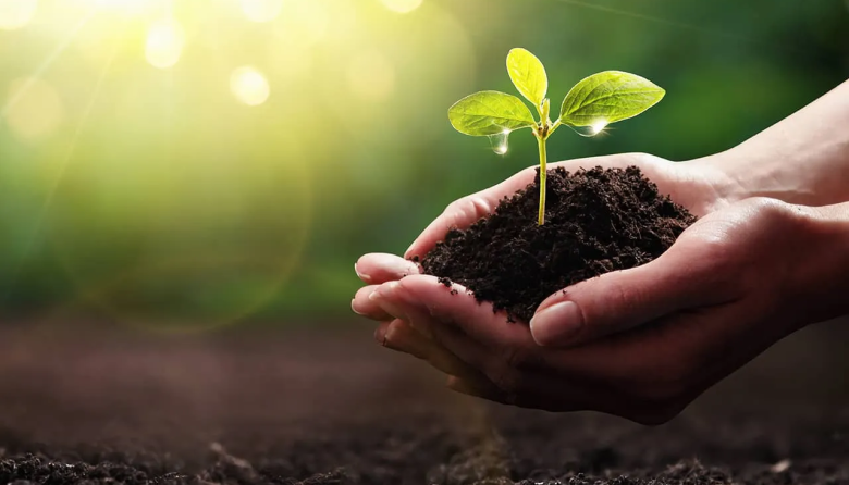 Ciclo de capacitaciones en sostenibilidad para promover la conciencia ambiental en la UNDEC