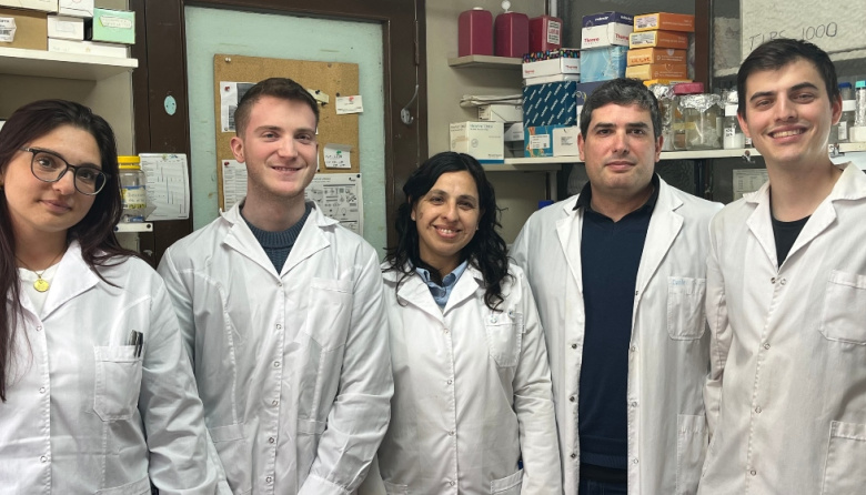 Un estudio del CONICET reveló un mecanismo de comunicación entre células del cáncer de páncreas