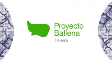 Convocatoria 2021: Becas Proyecto Ballena a la Investigación Artística