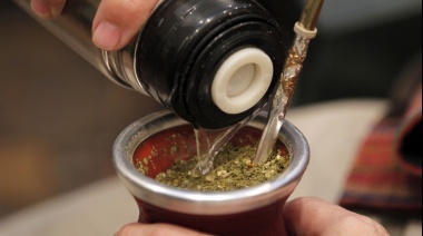 Investigadores de la UNQ demuestran efectos preventivos de la yerba mate contra el cáncer de colon y mama