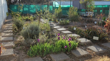 El apasionante e importante mundo de la botánica