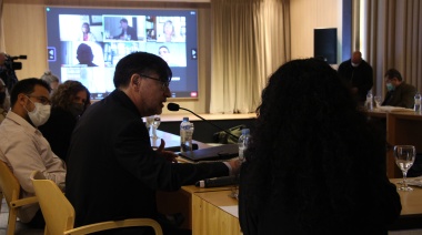 Universidades latinoamericanas y caribeñas y sus propuestas ante la UNESCO     