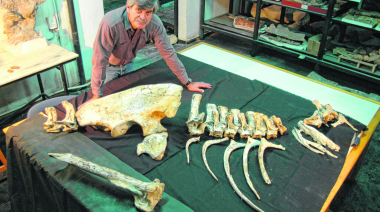 Rodolfo Coria: "La paleontología ha traído prestigio académico al país desde el siglo XIX"