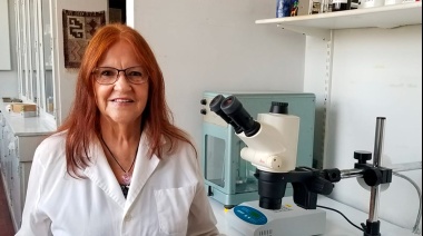 Logran revertir déficits de la memoria en un modelo experimental de la enfermedad de Alzheimer