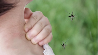 Dengue: una responsabilidad de todos