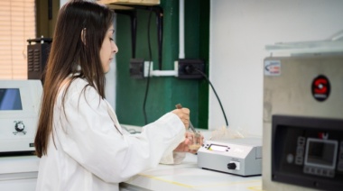 Desarrollan un pan sin gluten con materia prima de árboles del bosque nativo de San Luis