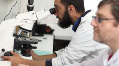 Naciones Unidas premió una innovación argentina en la que colaboró la UNCUYO