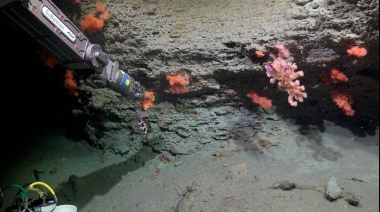 Finalizó la histórica campaña submarina liderada por científicos del CONICET