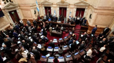 El Senado sancionó la ley de financiamiento universitario con fuerte apoyo opositor