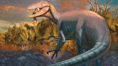 Científicos del CONICET descubren un dinosaurio carnívoro que habría sido de los últimos en extinguirse