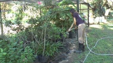 La Escuela Granja de la UNL desarrolla un sistema de riego automatizado