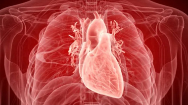 Destacan investigación de profesor honorario de la UNDAV en el prestigioso sitio de divulgación Live Science